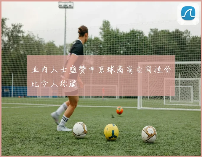 业内人士盛赞申京球商高合同性价比令人称道