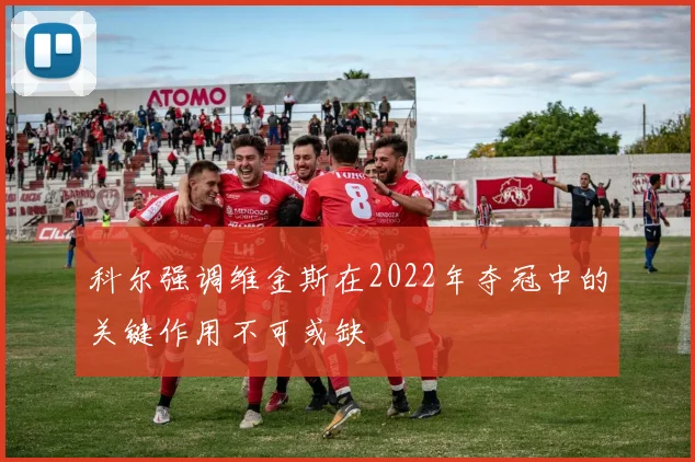 科尔强调维金斯在2022年夺冠中的关键作用不可或缺